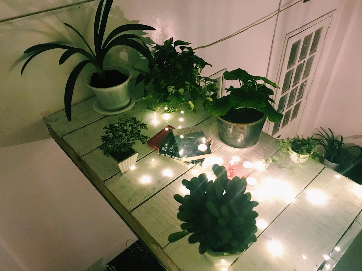 The Balcony Bnb Dalat Eksteriør bilde